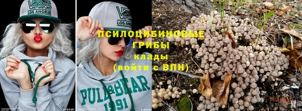 хмурый Абинск