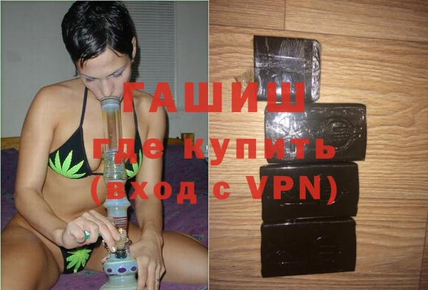 сатива Алзамай