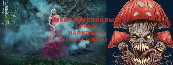 соль ск Алексеевка