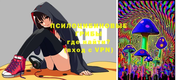 винт Абаза