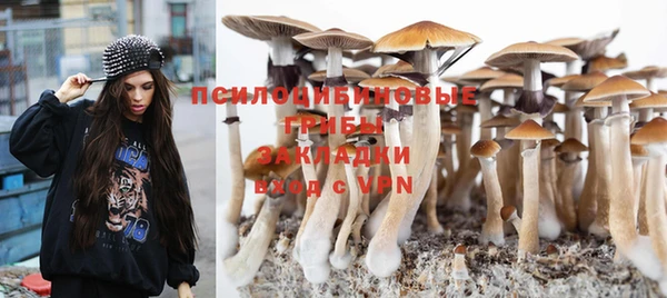 mix Алексин