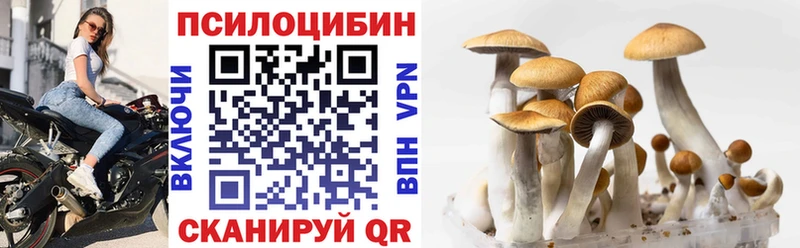 Псилоцибиновые грибы Cubensis  Тюкалинск 